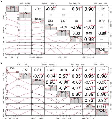 RNA sequencing and weighted gene co-expression network analysis uncover the hub genes controlling cold tolerance in Helictotrichon virescens seedlings